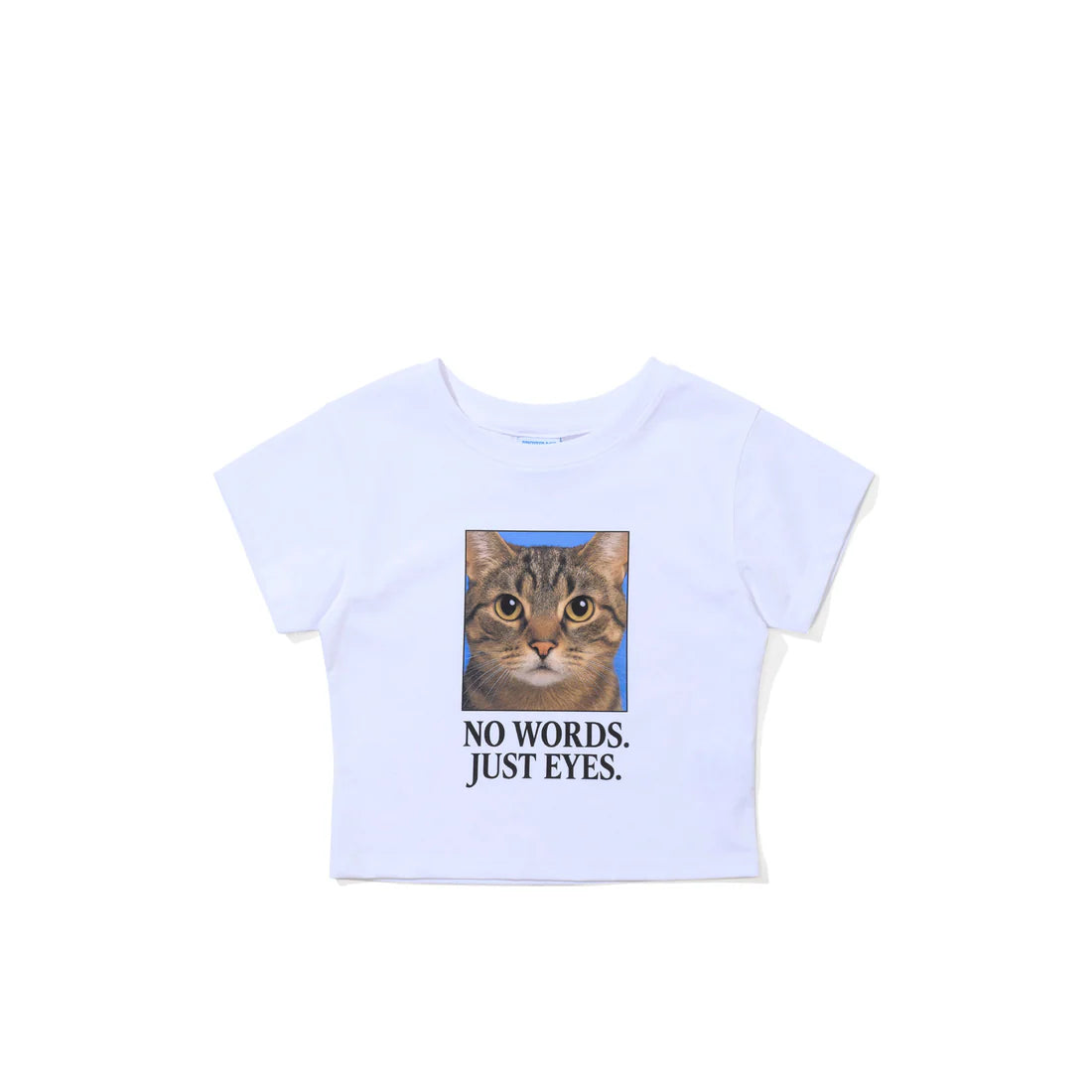 BSRabbit Just Eyes Cat White T-Shirt - Women's