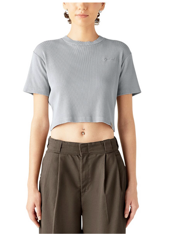 DICKIES Women's Plentywood Cropped T-Shirt ULTIMATE GRAY