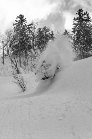 SIMS MACRODOSE SNOWBOARD